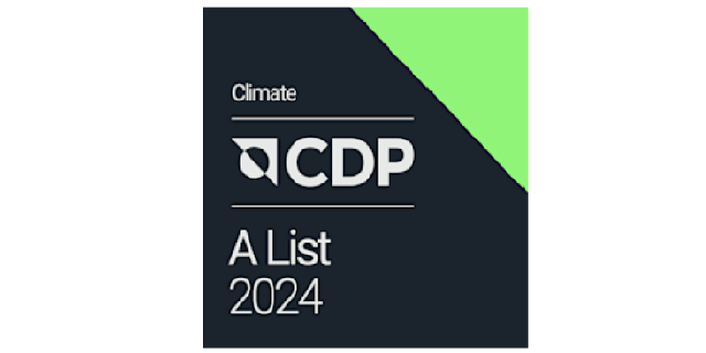 cdp 2024